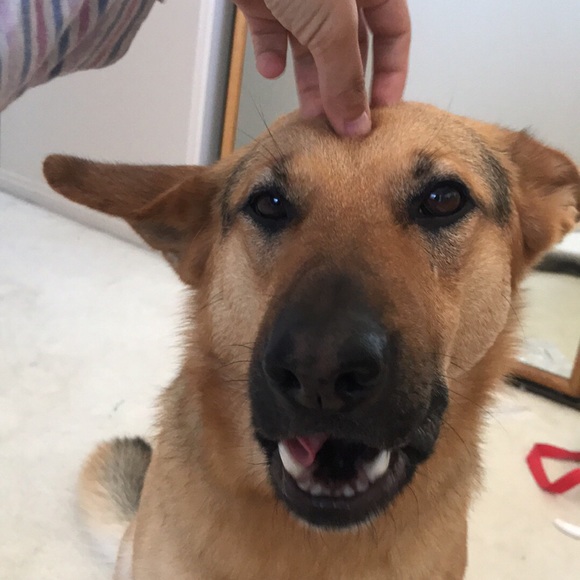 About Wildernessmags! ππ§‘π - Picture 3 of 5